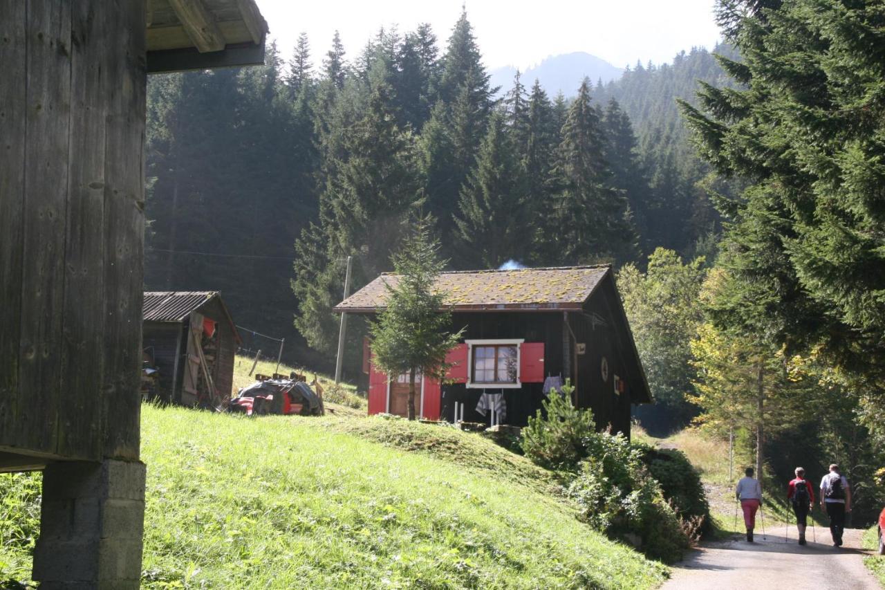 Heerlijke Wandel Of Ski Vakantie In Torgon Portes Du Soleil מראה חיצוני תמונה