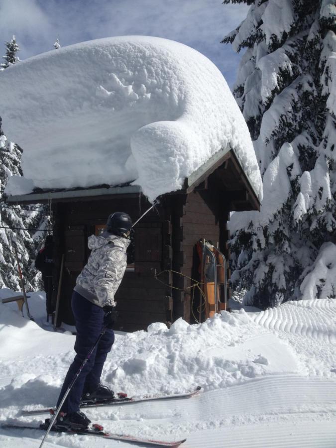 Heerlijke Wandel Of Ski Vakantie In Torgon Portes Du Soleil מראה חיצוני תמונה